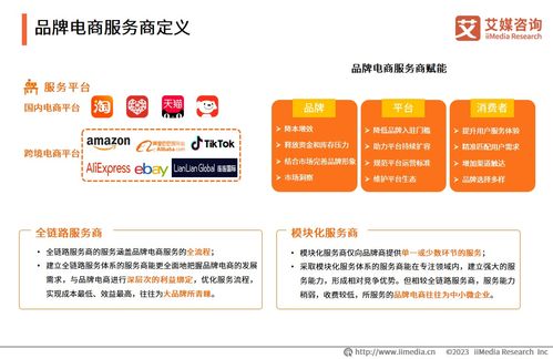 2023年中國品牌電商服務(wù)商行業(yè)研究報(bào)告——社會(huì)經(jīng)濟(jì)咨詢服務(wù)解析